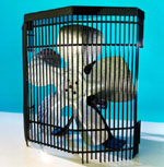 Rectangular wire mesh fan guard
